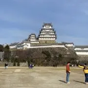 パンダの画像