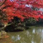 MKの画像