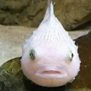 断捨離中ほなの画像