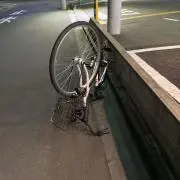 高橋ですの画像