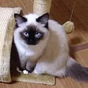 まぁさん