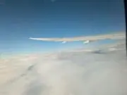 SJGの画像