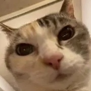 いにょ