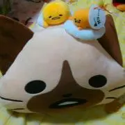 かーず