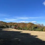 smartの画像