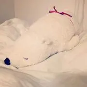 okayuの画像