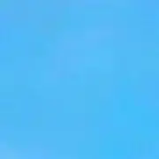 ゆの画像