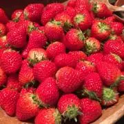 prego!の画像