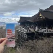 みーこの画像