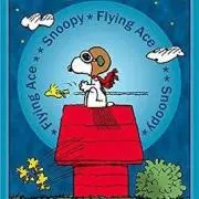 flyingaceの画像