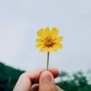 mmmkの画像