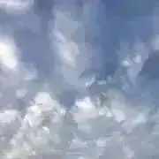えびのしっぽの画像