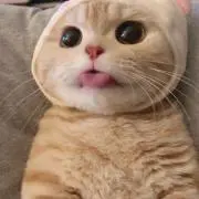 しお