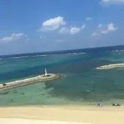 DREAMの画像