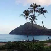 ohanaの画像