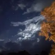 つっちー