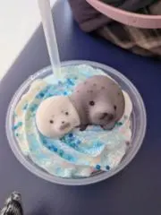 まめの画像