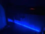 ヒレの画像