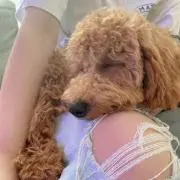 りゅんの画像