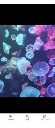 たーの画像