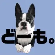 UZ