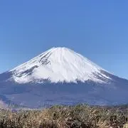 ゆゆ茶の画像