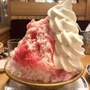 もぐの画像