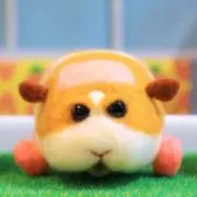 タクの画像