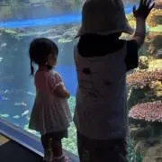 はるはるままの画像