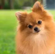 4/17発送♡コメント前にプロフ見てねの画像
