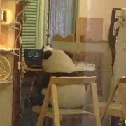 リュージュ