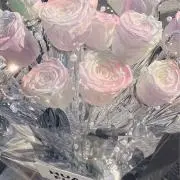 ✩の画像