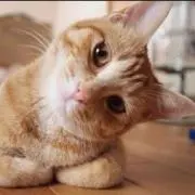 もっちい♡