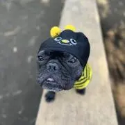 まりおの画像