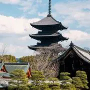 neconiumの画像
