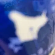sSの画像