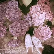 aypalの画像