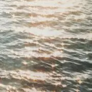 momoの画像