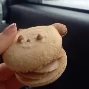 haruの画像