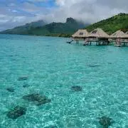くっぴーの画像