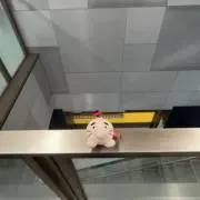 kの画像