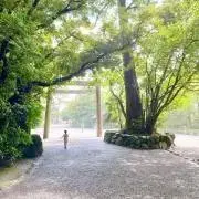 KANASAの画像