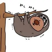 ゆるみ[値下げ等はプロフお読みください]
