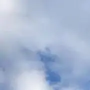 たんぽぽ