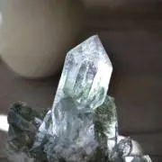 Negiの画像