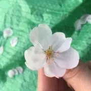 鈴木の画像