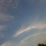くんさまぬの画像