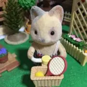 cocoの画像