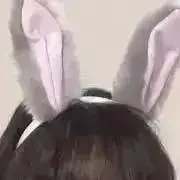 pompomの画像