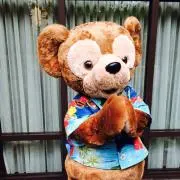 おもちの画像